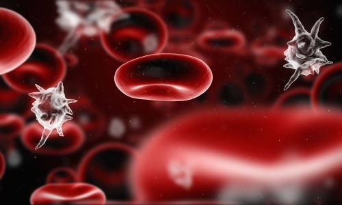 eSystem's Patogenos de Transmision - (Bloodborne Pathogens) Spanish training course