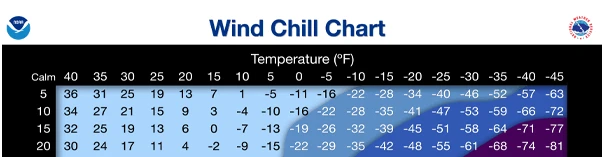 eSystem's Cold Stress training course