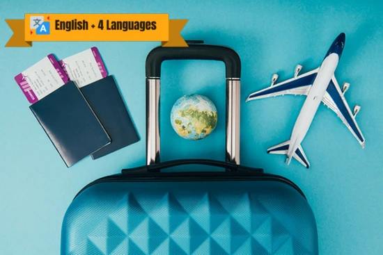 Travel Security online course