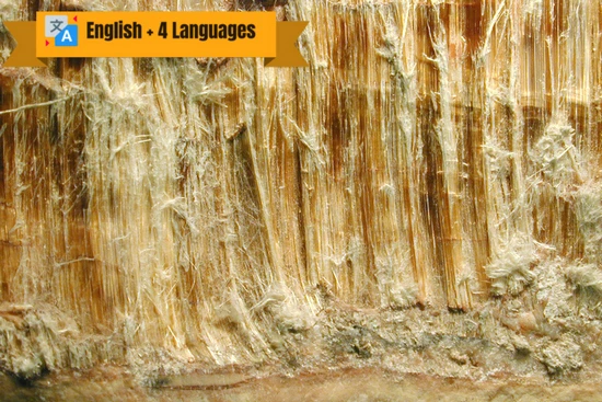 Asbestos Awareness online course
