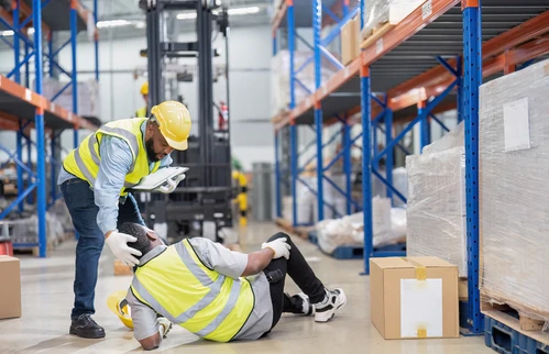 eSystem's Slips Trips and Falls for General Industry training course