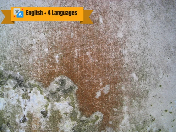Health Effects Caused by Mold online course