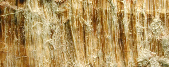 eSystem's Asbestos Awareness training course