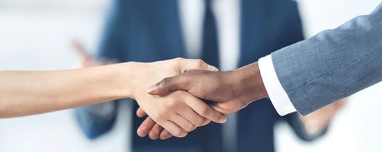 eSystem's Becoming an Ally: Part 2 training course