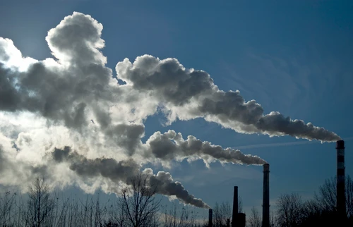 eSystem's 13 Carcinogens Awareness for General Industry training course